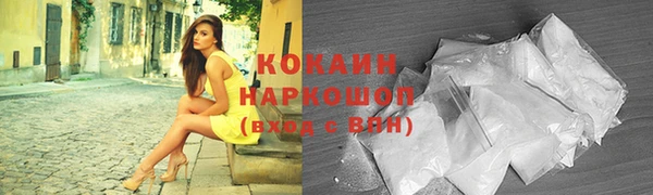 бошки Алексин