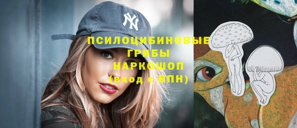бошки Алексин