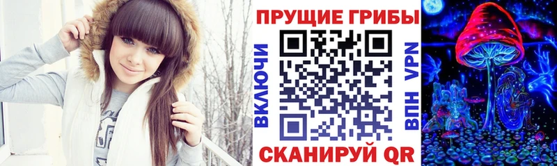 Псилоцибиновые грибы GOLDEN TEACHER  Буй 