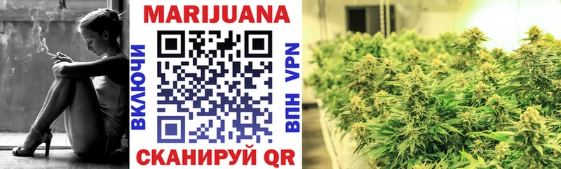 площадка состав  Буй  Канабис план 